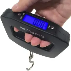 Electronic Travel Scales
